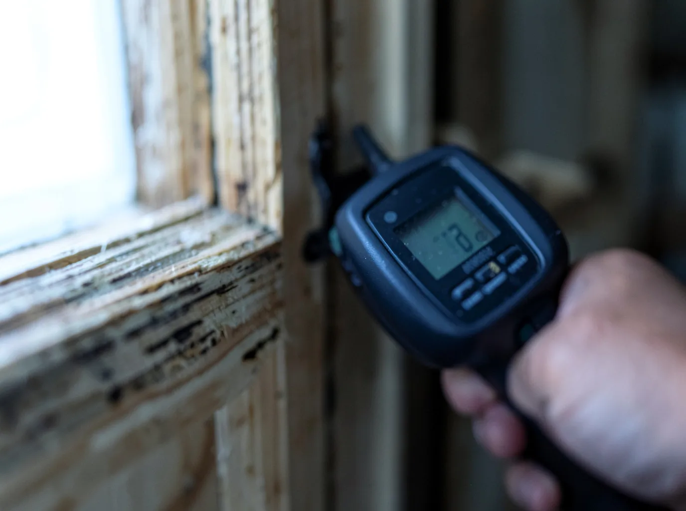 Water Damage Restoration Greenbackville, VA FAQs